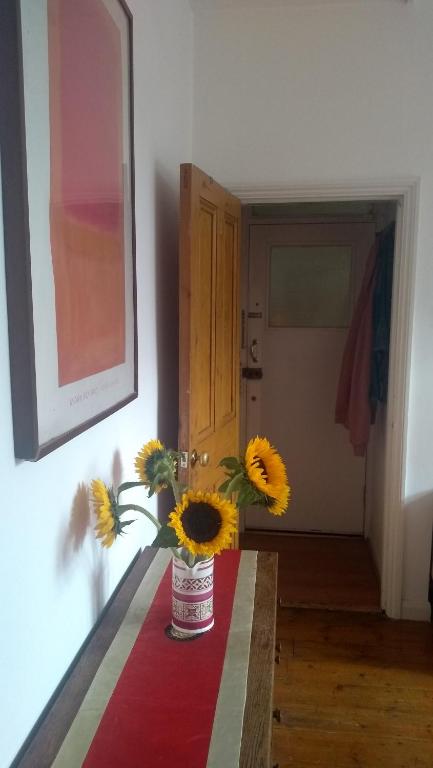 Homey, warm & welcoming room. room 3